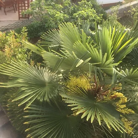 Apartamento Schreng Malinska