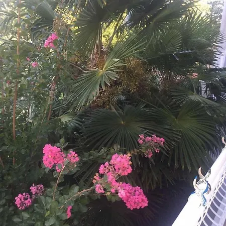 Apartamento Schreng *