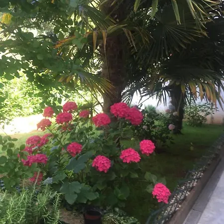 Apartamento Schreng Malinska