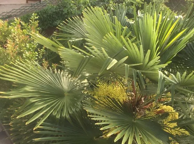 Apartman Schreng Malinska