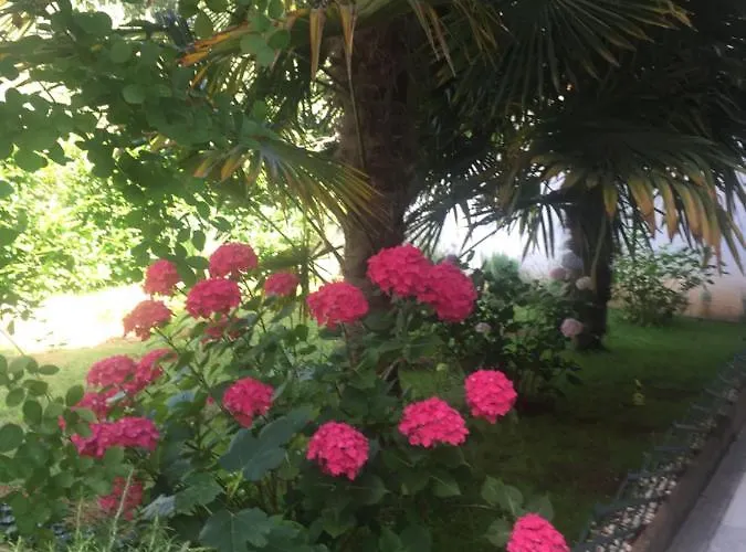 Apartman Schreng Malinska