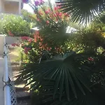 Schreng 말린스카